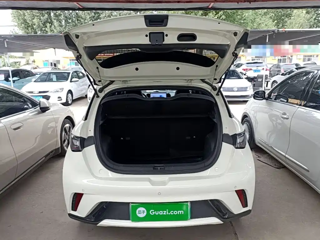 BYD Dolphin — миниатюра 19