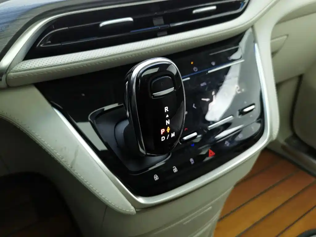 Buick GL8 — миниатюра 13