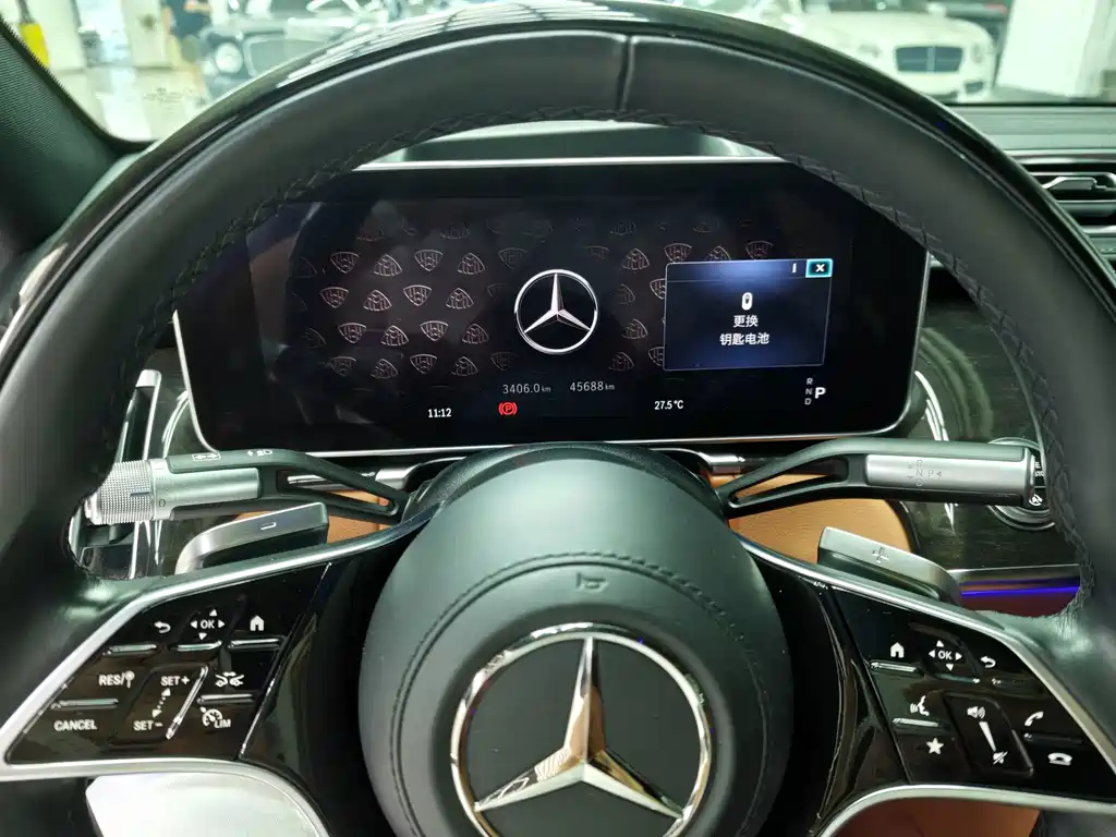 Mercedes-Benz S-Class — миниатюра 11