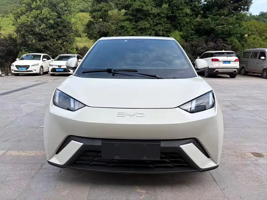 BYD Seagull - фото 2