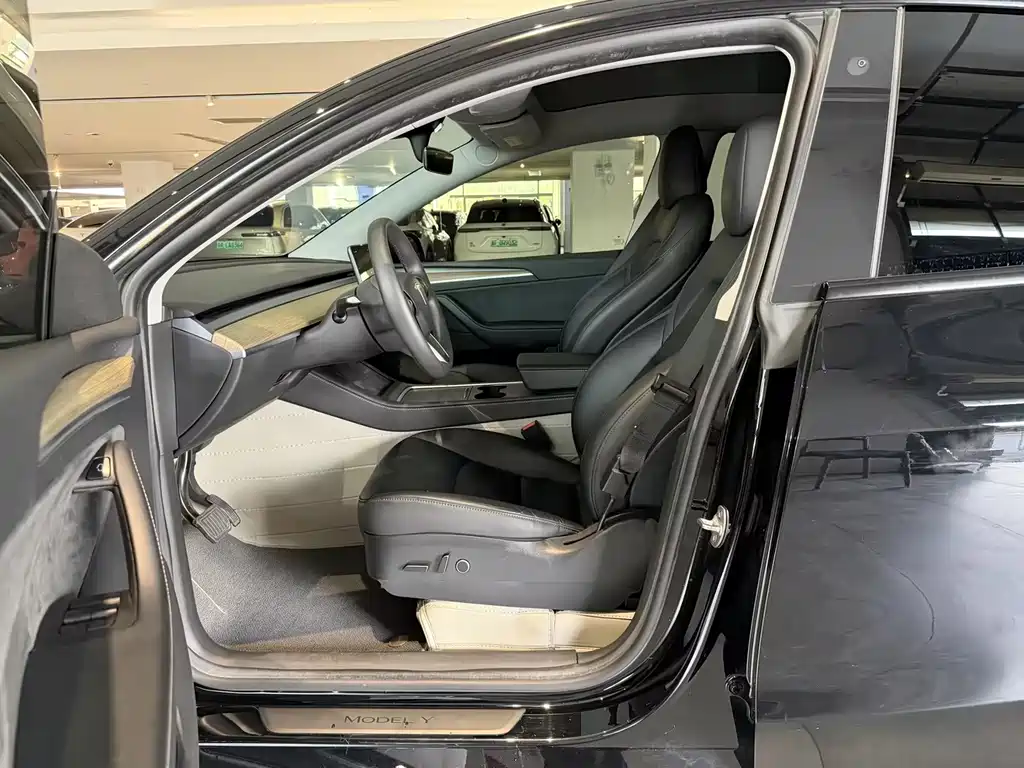 Tesla Model Y — миниатюра 4