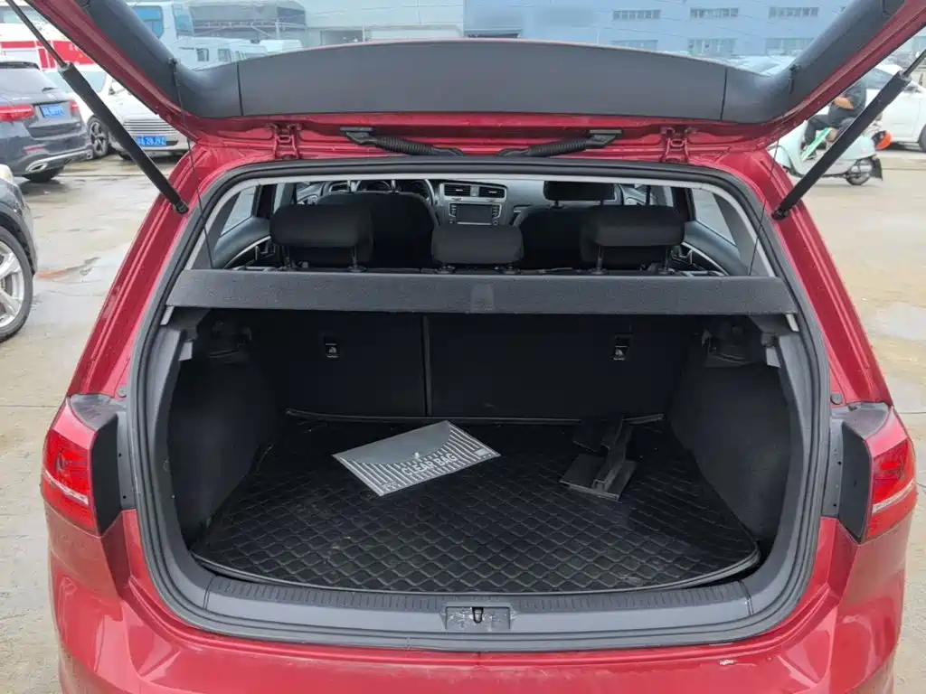 Volkswagen Golf — миниатюра 19