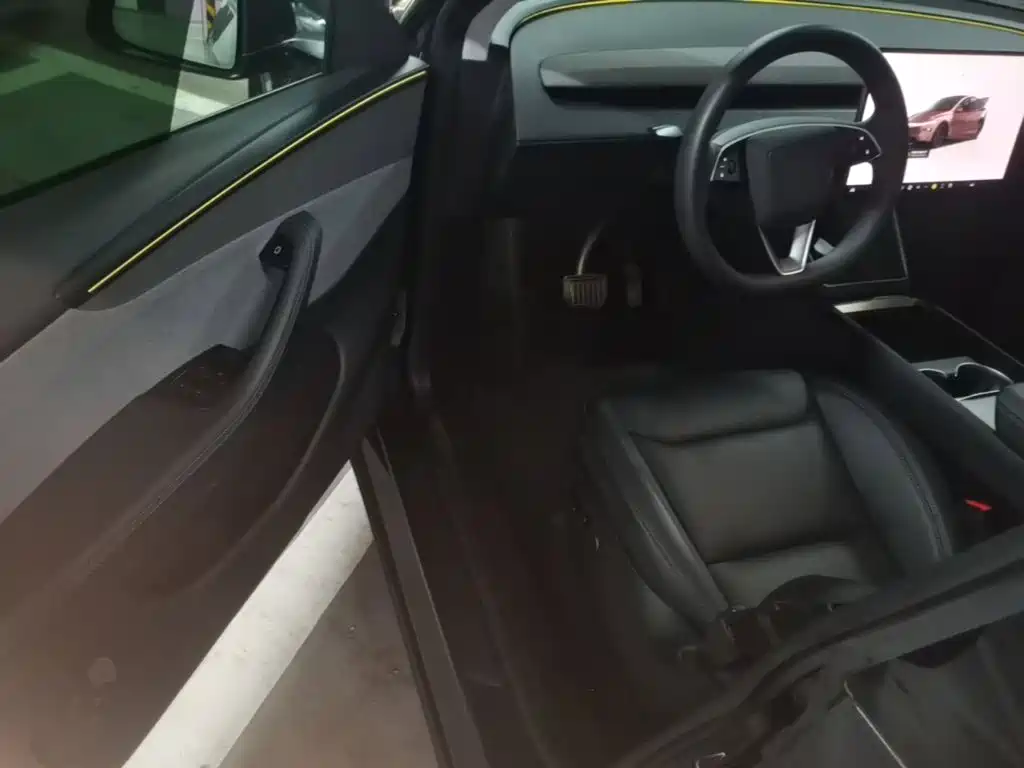 Tesla Model Y — миниатюра 16