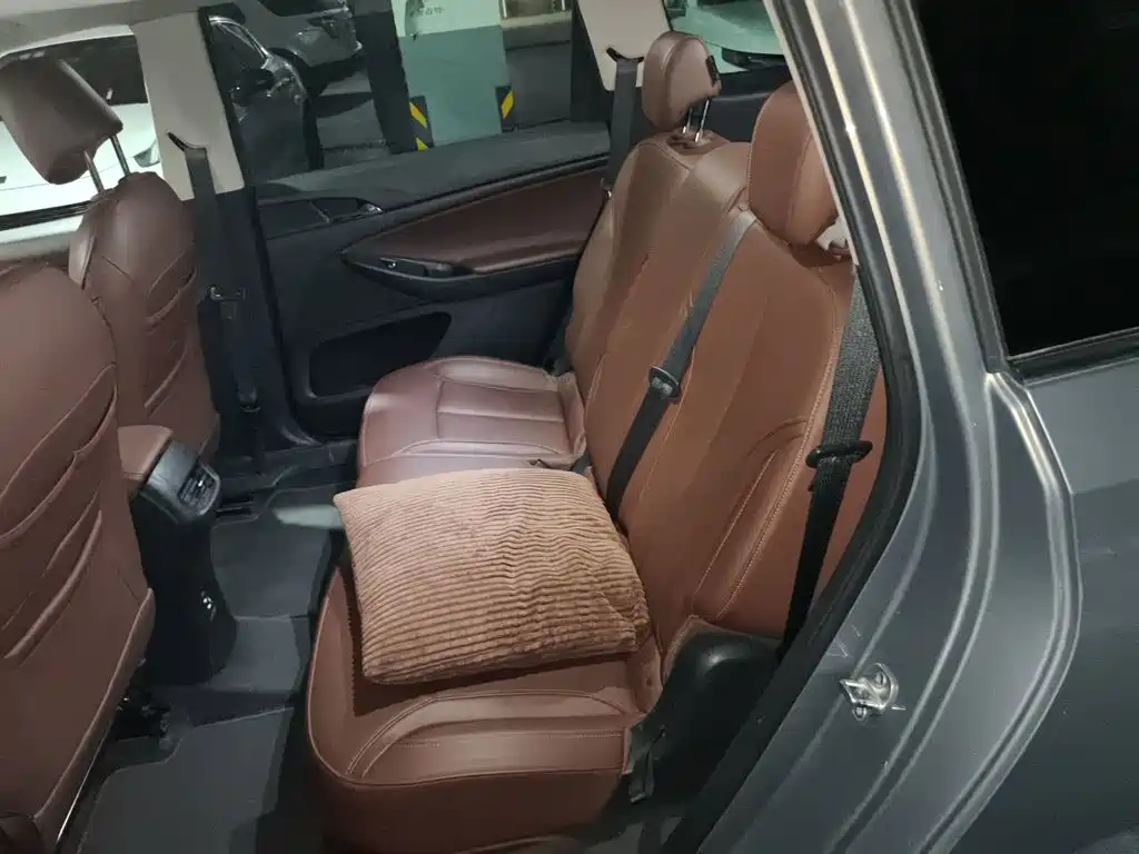 Buick GL6 — миниатюра 13