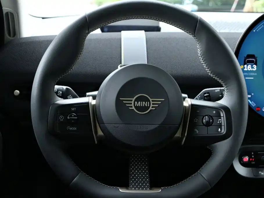 MINI MINI ACEMAN EV — миниатюра 25