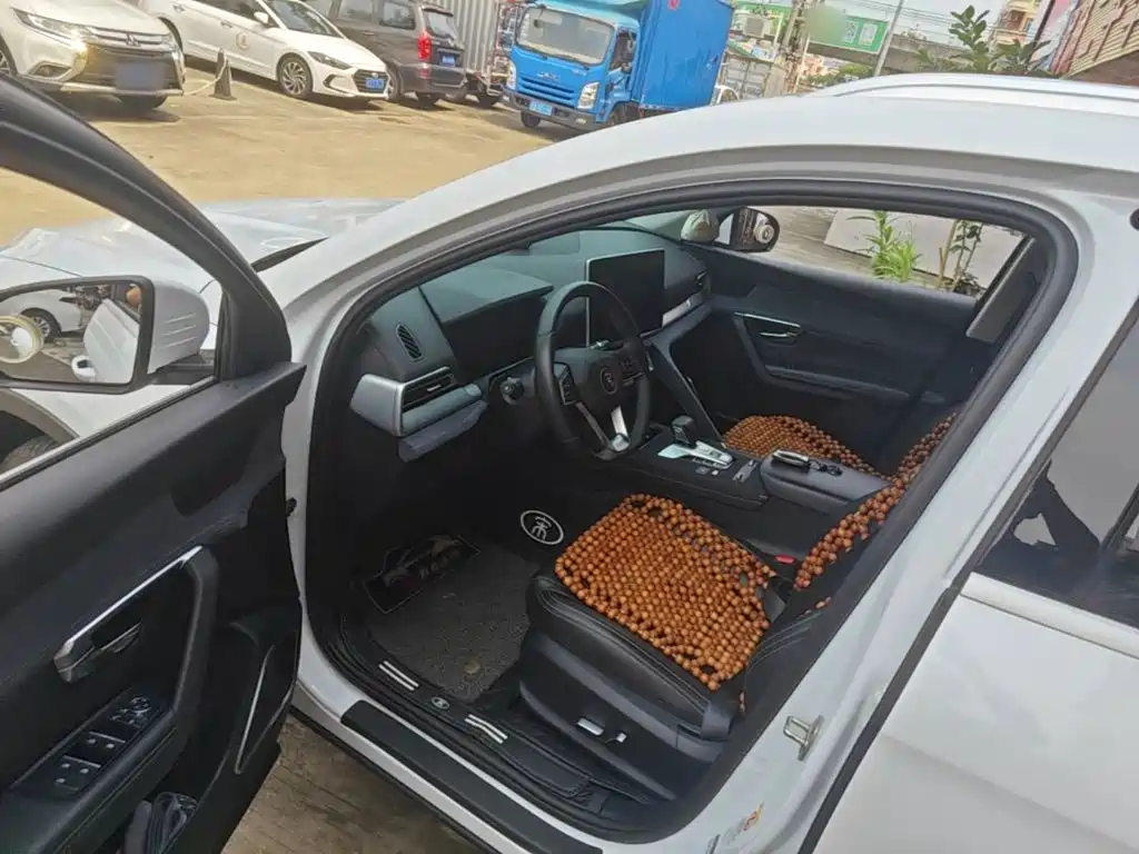 BYD Pro New Energy — миниатюра 16