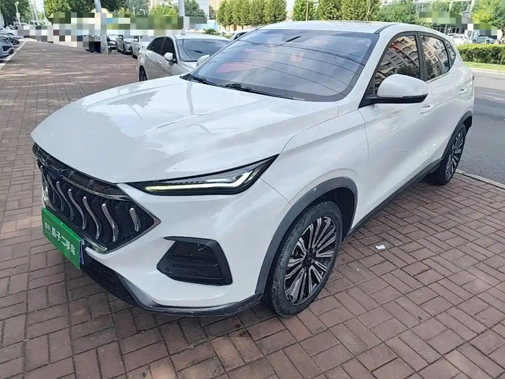 Oshan Oushang X5 — миниатюра 2