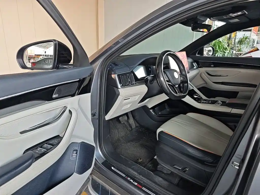 BYD PLUS New Energy — миниатюра 16