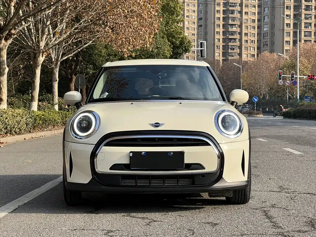 Mini Mini 2022