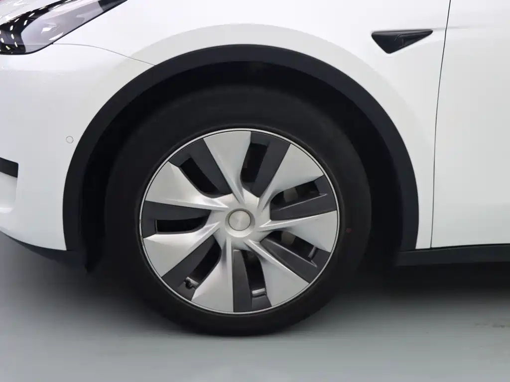 Tesla Model Y — миниатюра 4