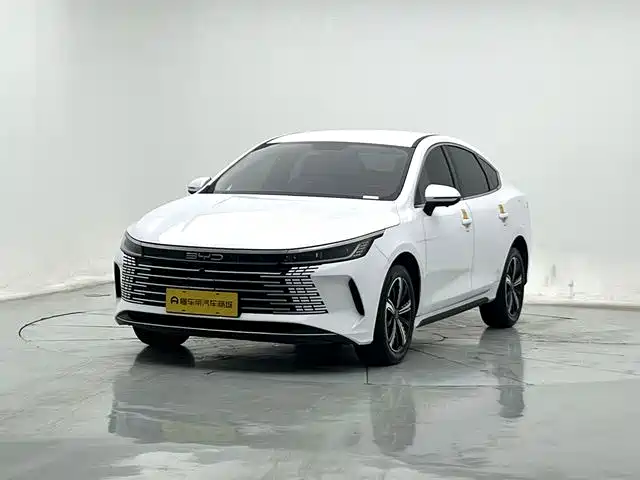 2024 BYD Destroyer