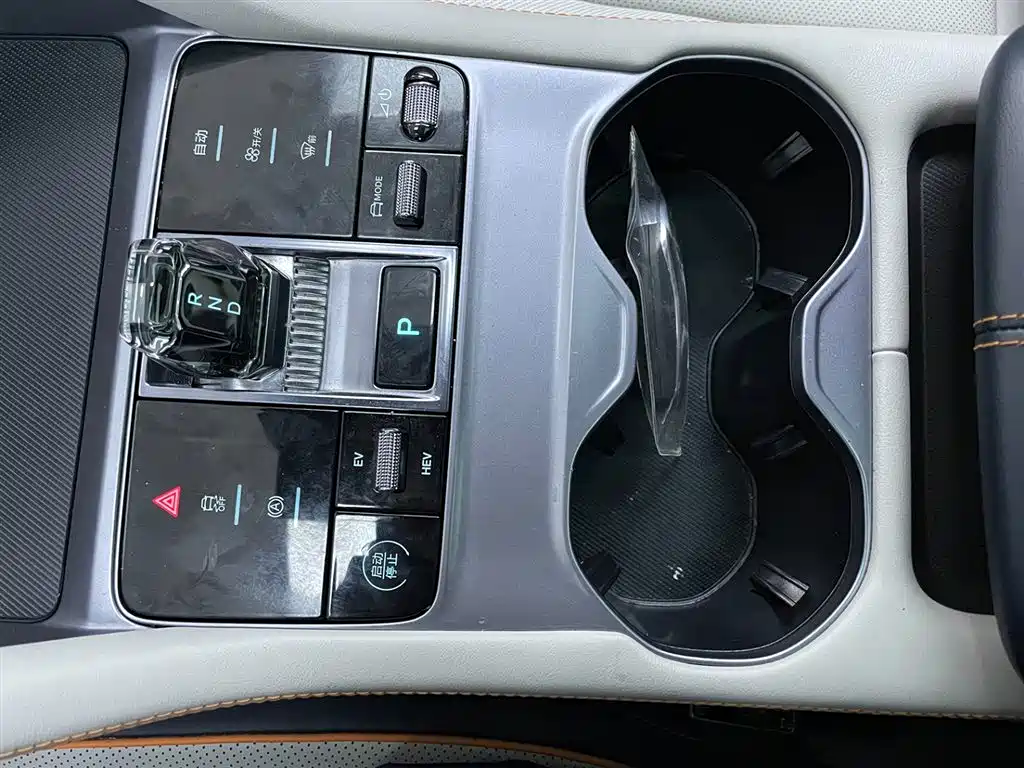 BYD SONGJIANG NEW ENERGY