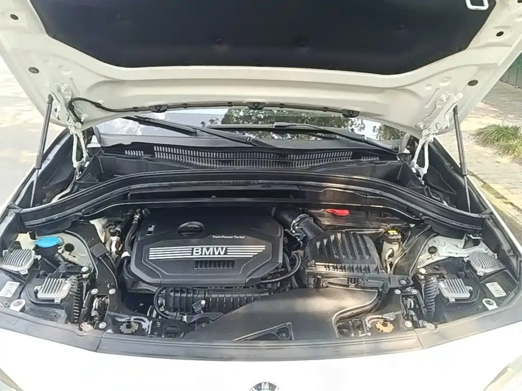BMW X2 (Import) — миниатюра 16