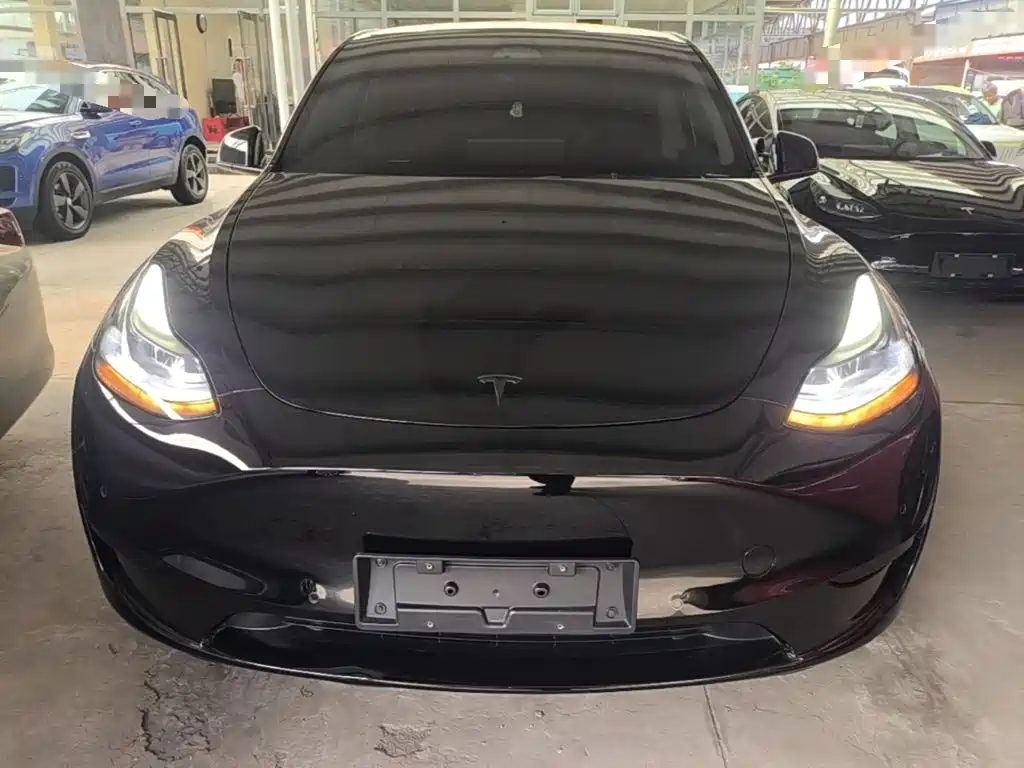 Tesla Model Y — миниатюра 3