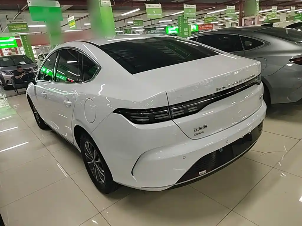 BYD Destroyer 05 — миниатюра 5