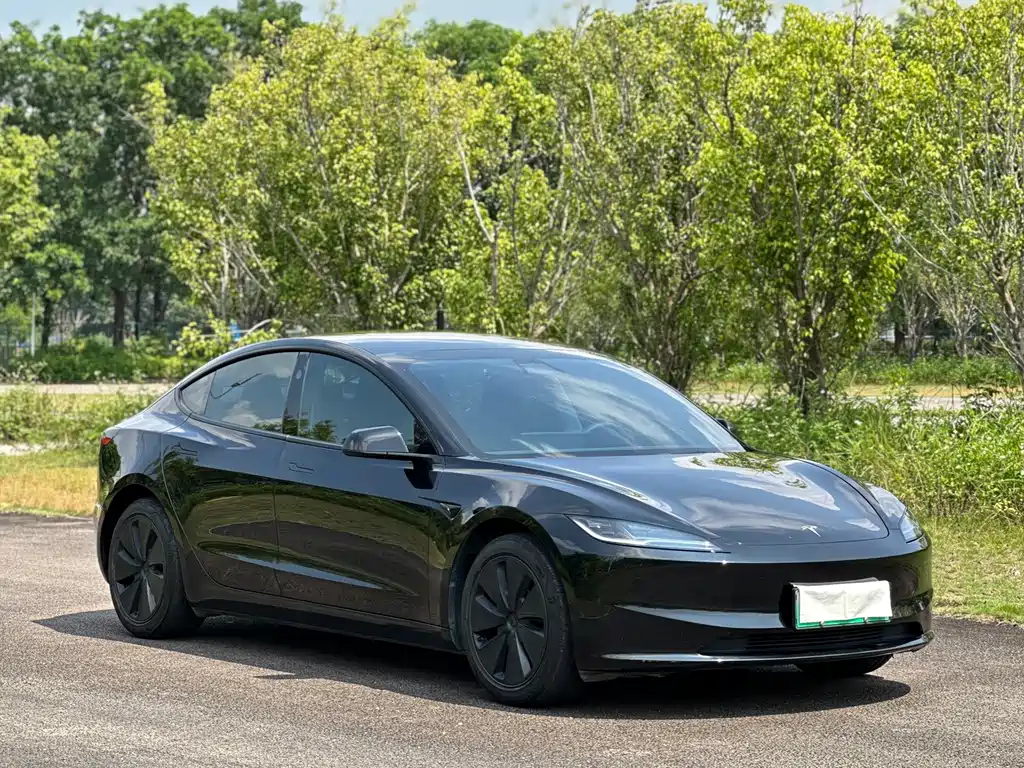 Tesla Model 3 — миниатюра 3