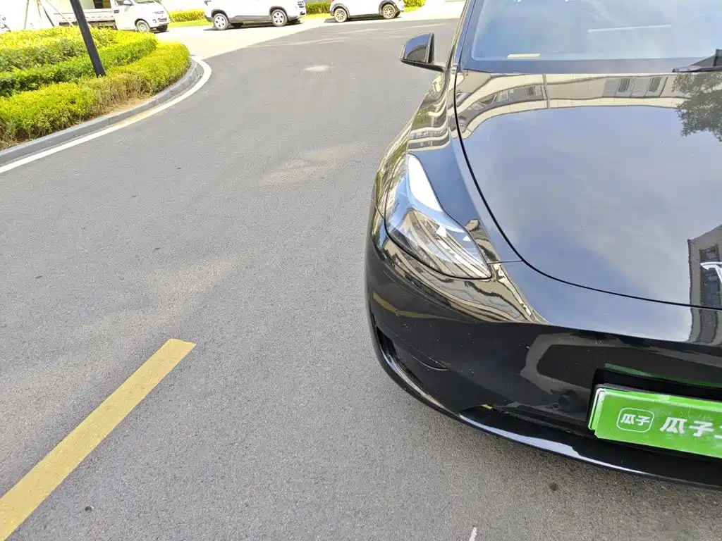 Tesla Model Y — миниатюра 7