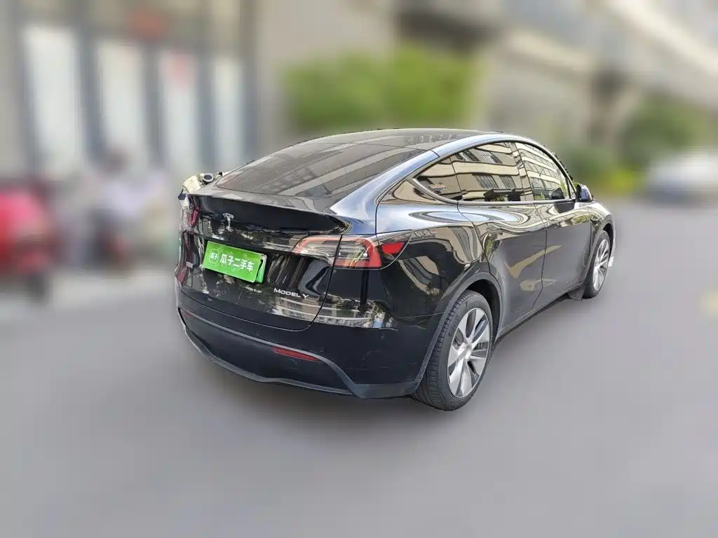 Tesla Model Y — миниатюра 6