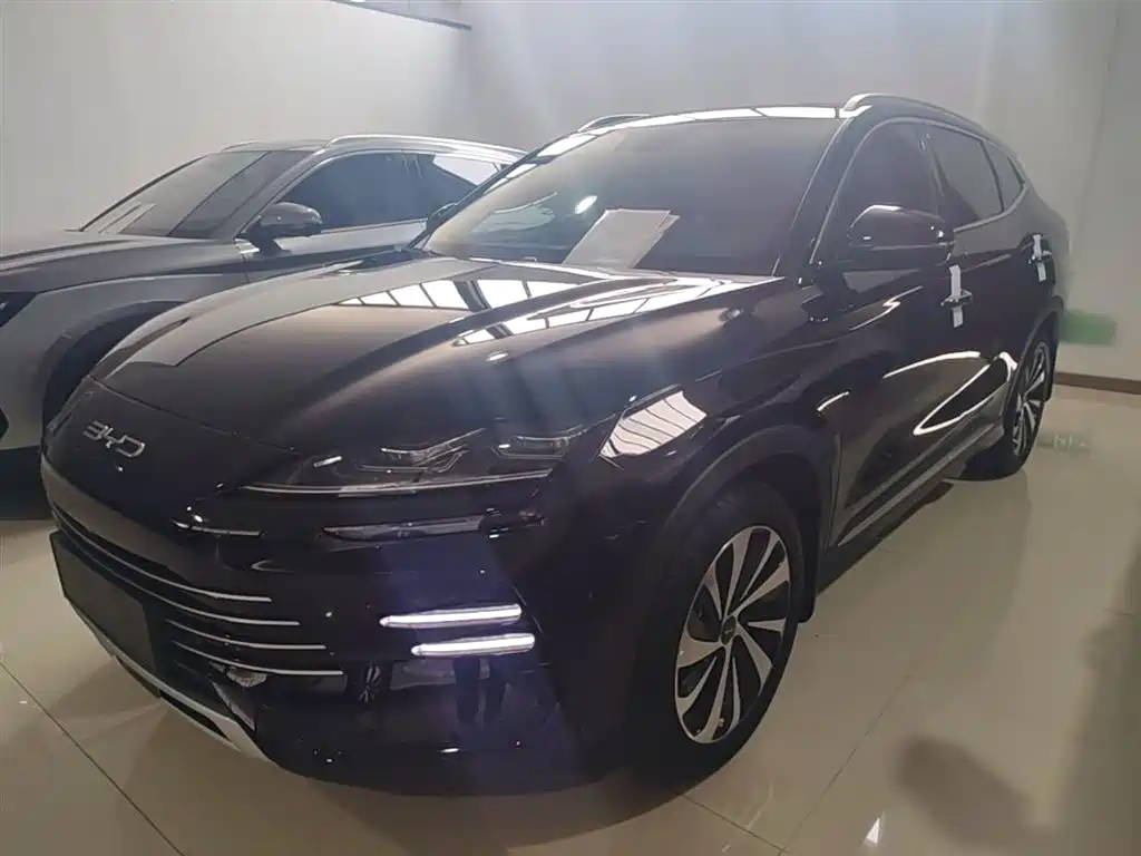 Byd PLUS New Energy 2024