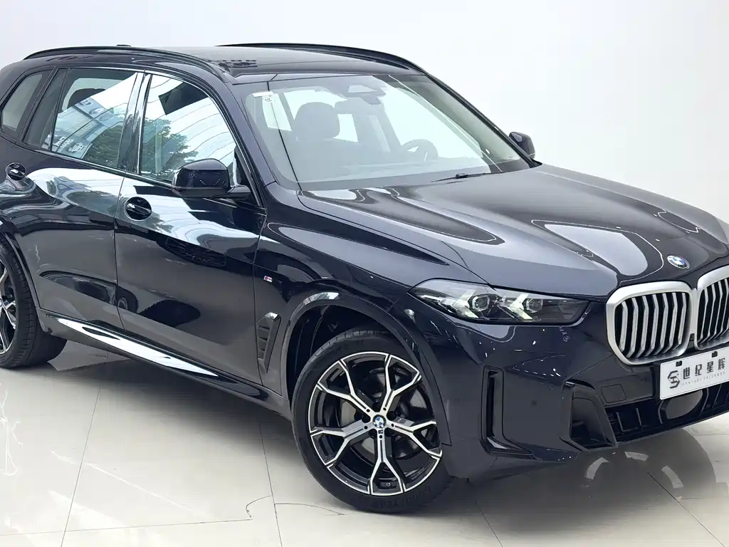 BMW X5 — миниатюра 4