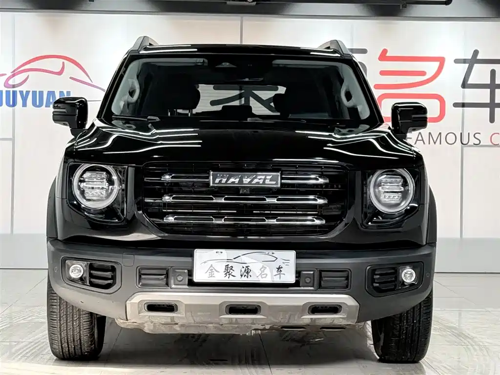 HAVAL BIG DOG