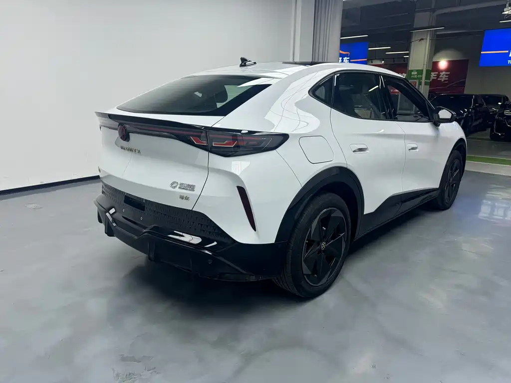 VOLKSWAGEN WITH THE CROWD 06