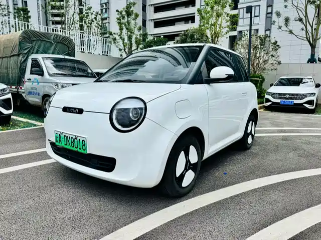 2024 Changan Lumin