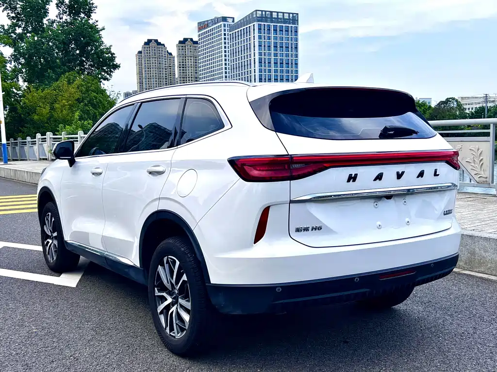 Haval H6 — миниатюра 8