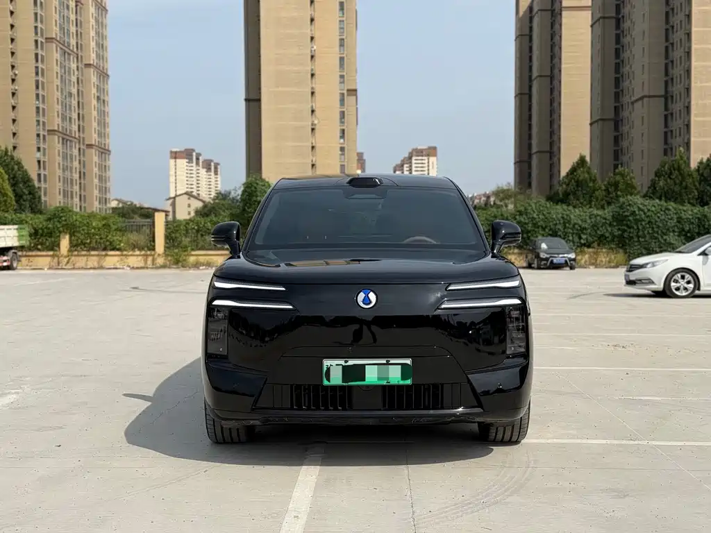 Denza Denza N8L — миниатюра 2