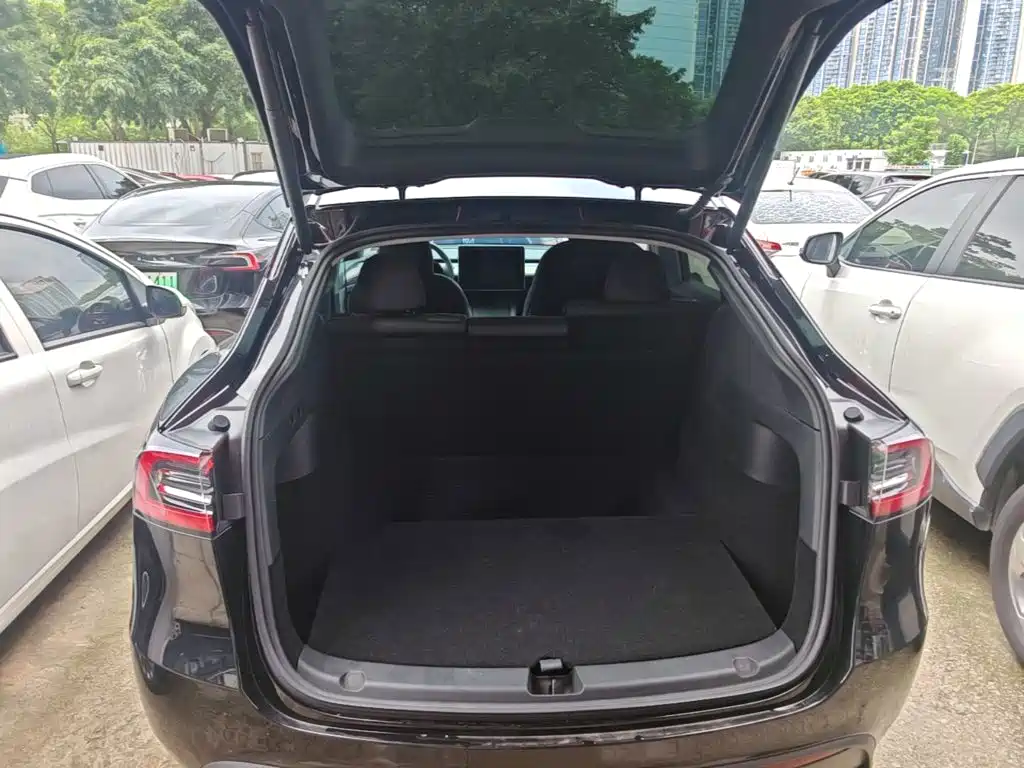 Tesla Model Y — миниатюра 19