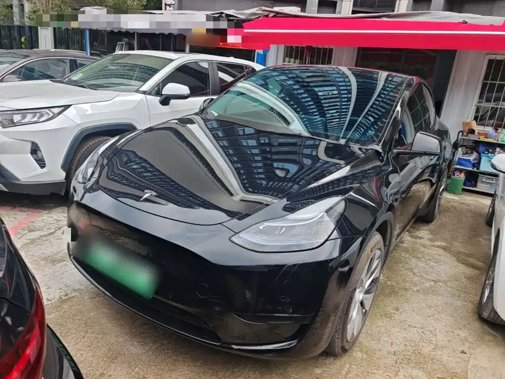 Tesla Model Y — миниатюра 2