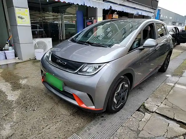 2022 BYD Dolphin