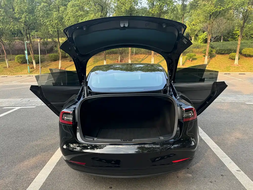 Tesla Model 3 — миниатюра 11