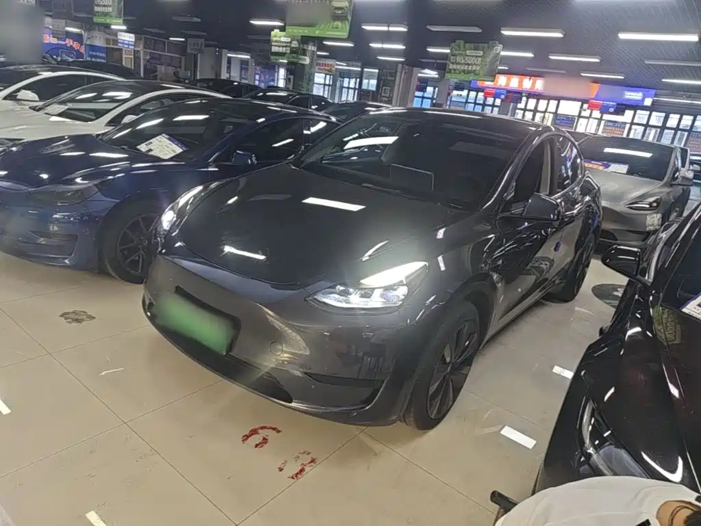 Tesla Model Y — миниатюра 2