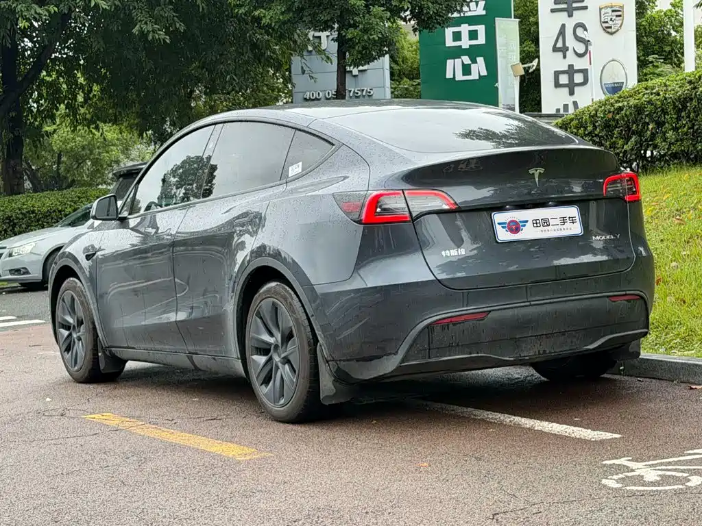 Tesla Model Y — миниатюра 4