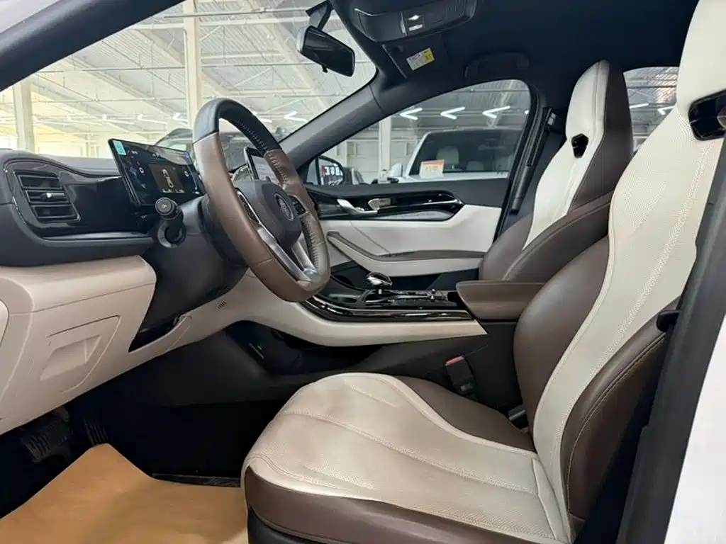 BYD Qin PLUS — миниатюра 5