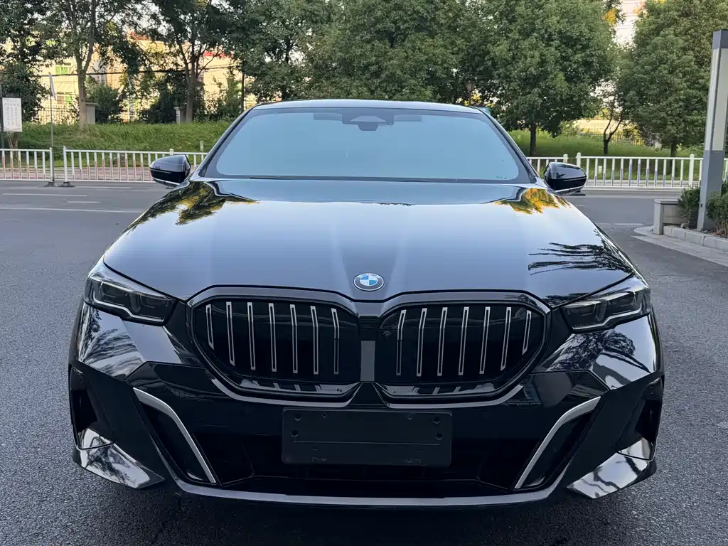 BMW 5 Series — миниатюра 2
