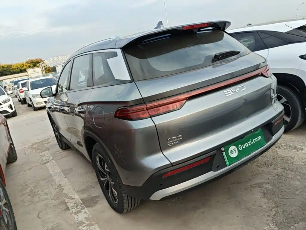 BYD Pro New Energy — миниатюра 5