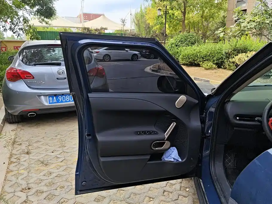 MINI MINI ACEMAN EV — миниатюра 7