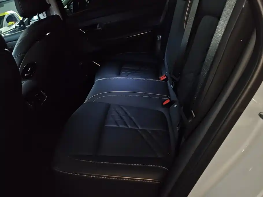 Baojun Xiangjing — миниатюра 11