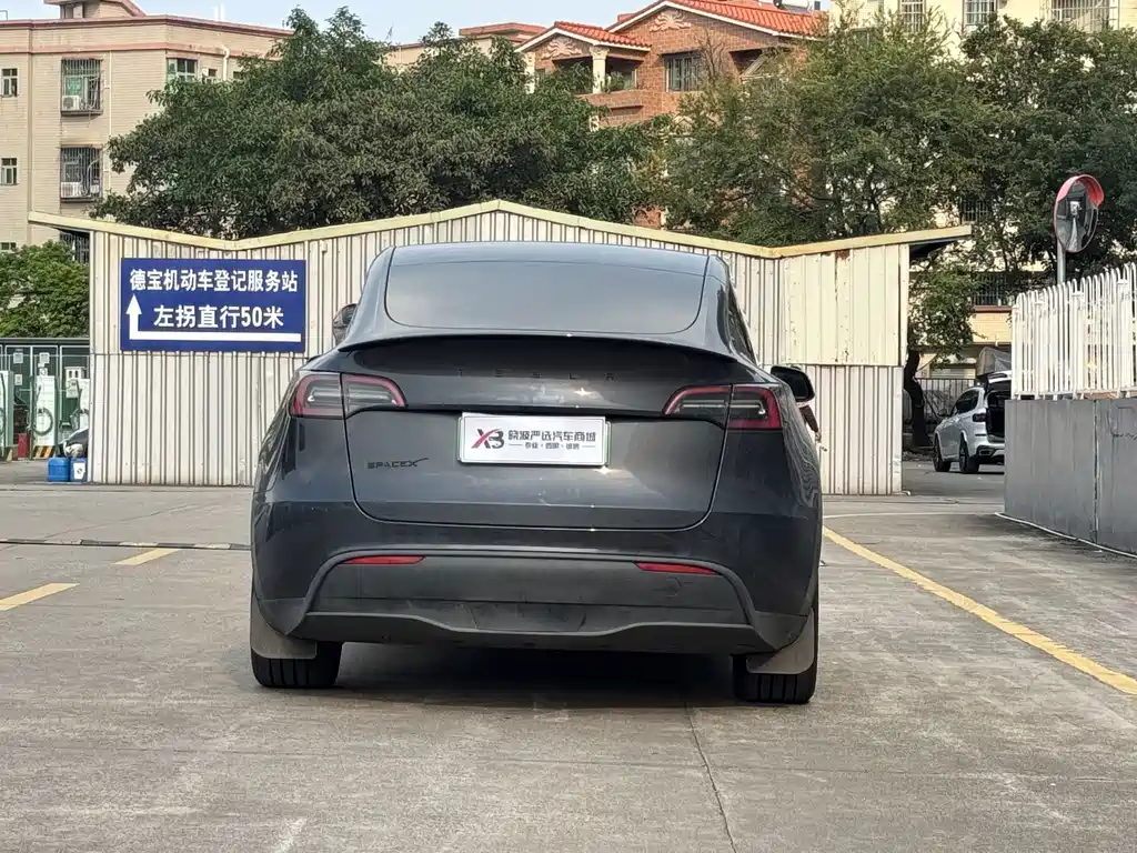 Tesla Model Y — миниатюра 4