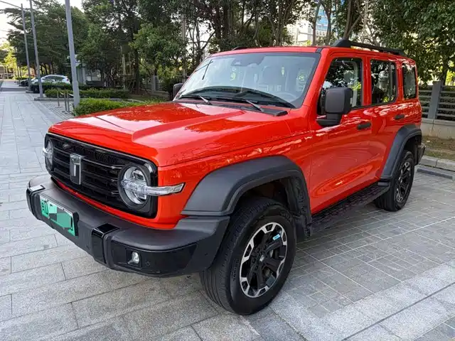 2025 TANK 300