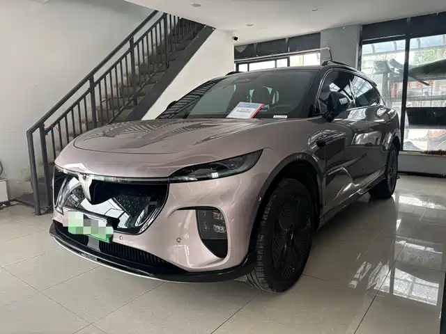 VOYAH LAN TU ZHIYIN 2024