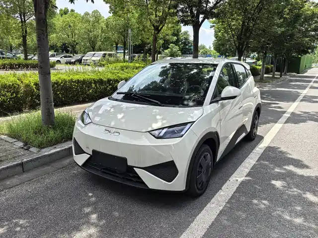 2026 BYD Seagull