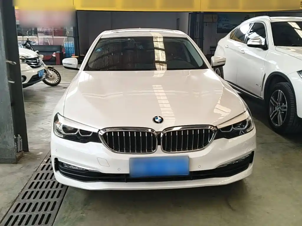 BMW 5 Series 5 2018 528Li