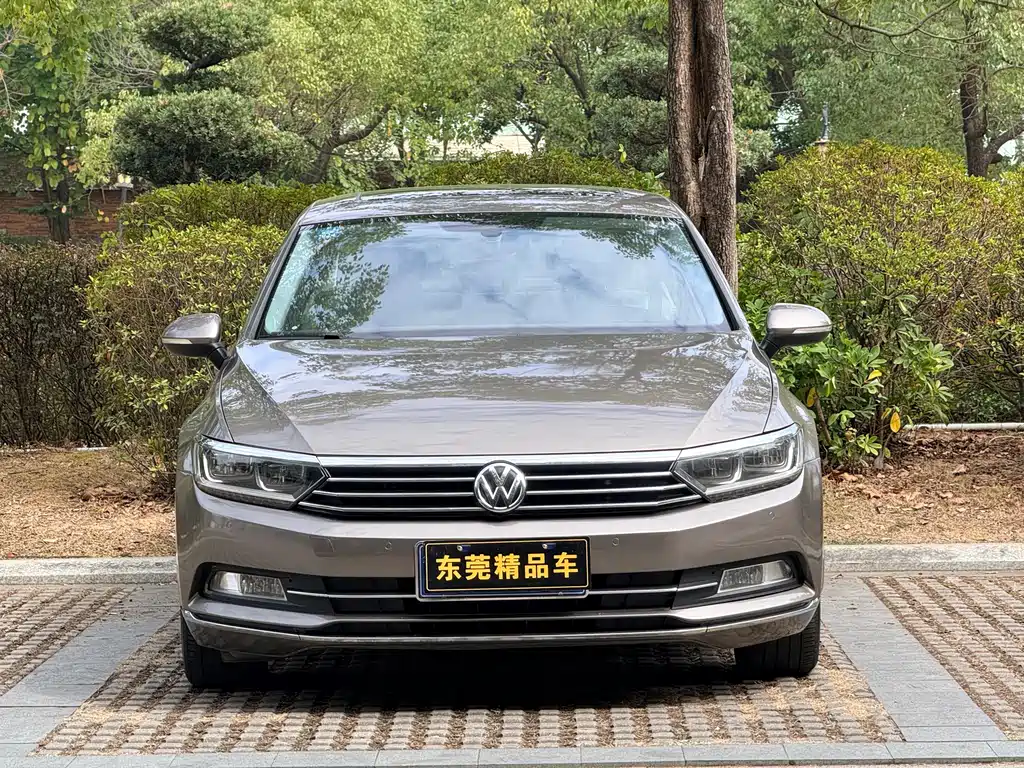 Volkswagen Magotan 2017 330TSI DSG Luxury