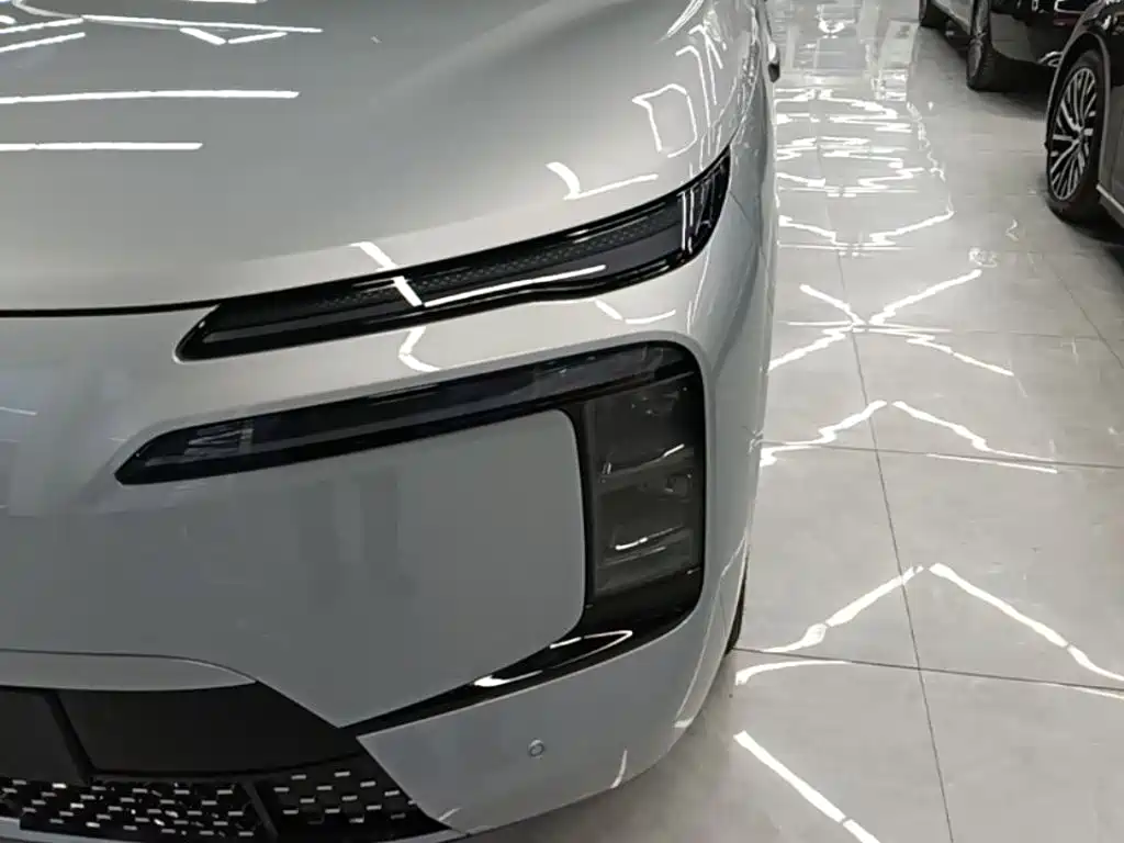 Denza Denza N8L — миниатюра 24