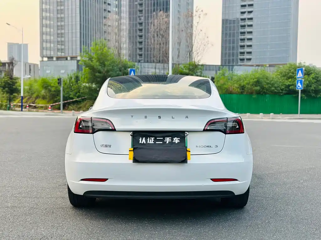 Tesla Model 3 — миниатюра 8