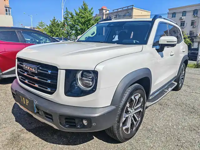 HAVAL BIG DOG 2021