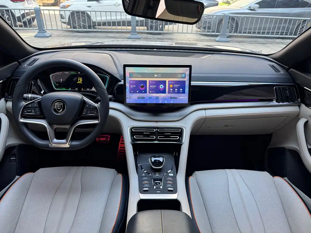 BYD PLUS New Energy — миниатюра 8